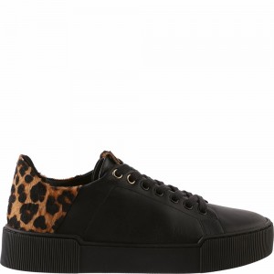 Högl Blade Sneakers Damen Schwarz | UHXB-93280