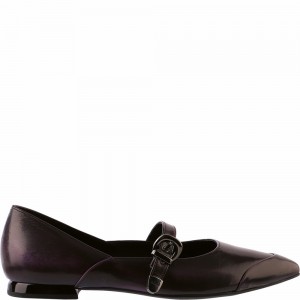 Högl Mia Ballerinas Damen Aubergine | CWXB-41397