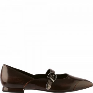 Högl Mia Ballerinas Damen Rust | FKHE-12576