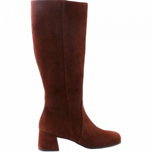 Högl Piper Kniehohe Stiefel Damen Schwarz | AIXG-76053