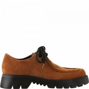 Högl Sally Lace-ups Halbschuhe Damen Schwarz | ZGCF-14052